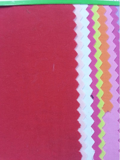 GZ-FGSG  8667#  100％尼龍  他仕倫   細節-2